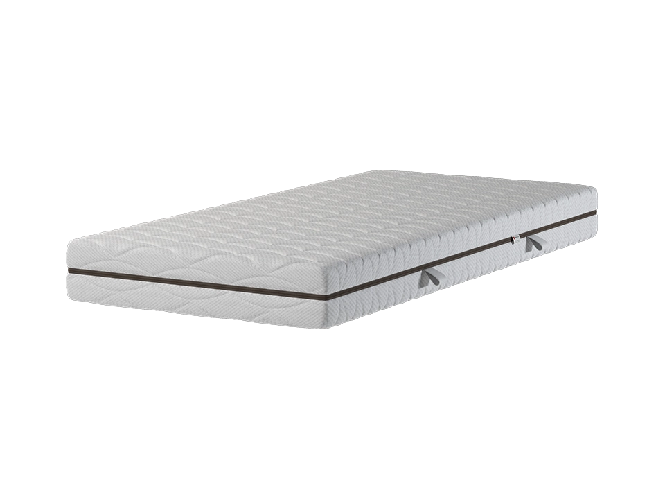 Elastica Pure | H3 - Fest