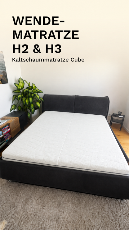 Elastica Cube